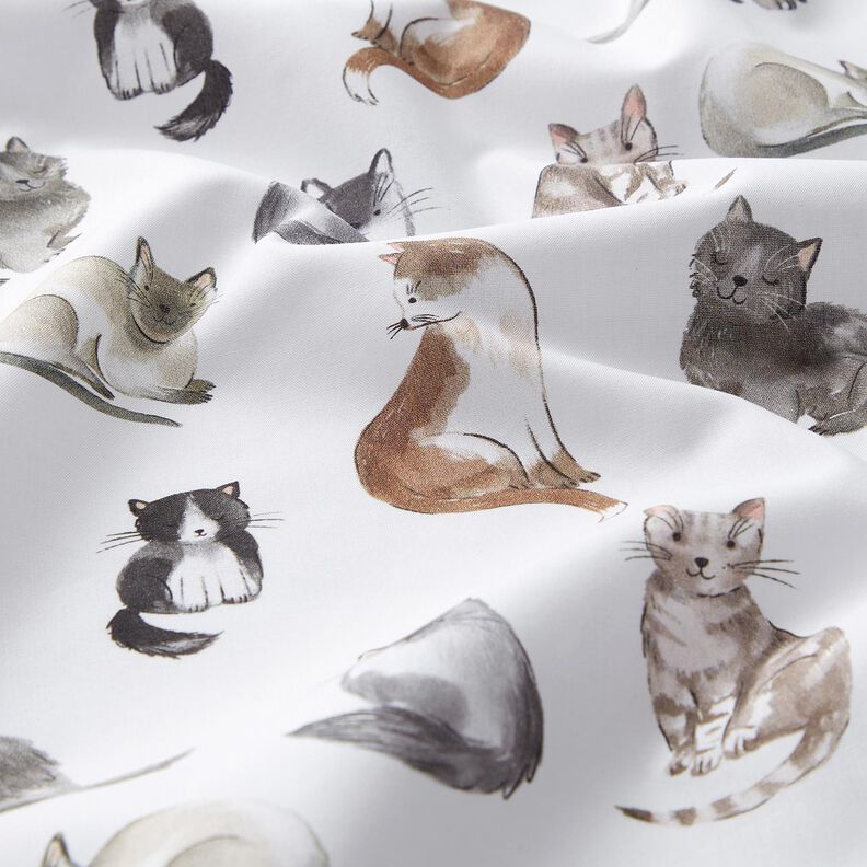 Bomullspoplin Glada katter Digitaltryck | Poppy Fabrics – vit,  image number 2