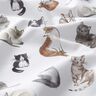 Bomullspoplin Glada katter Digitaltryck | Poppy Fabrics – vit,  thumbnail number 2