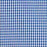 Bomullstyg Vichy rutig 0,5 cm – kungsblått/vit,  thumbnail number 1