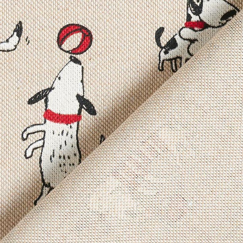 Halvpanama i linneoptik Dogs Life – natur, image number 4