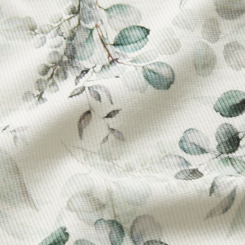 Ribbad jersey Eukalyptus Digitaltryck – yllevit,  image number 2