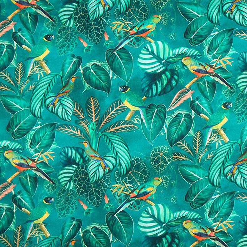 Dekorationstyg Canvas Paradisfåglar – mörkgrön,  image number 1