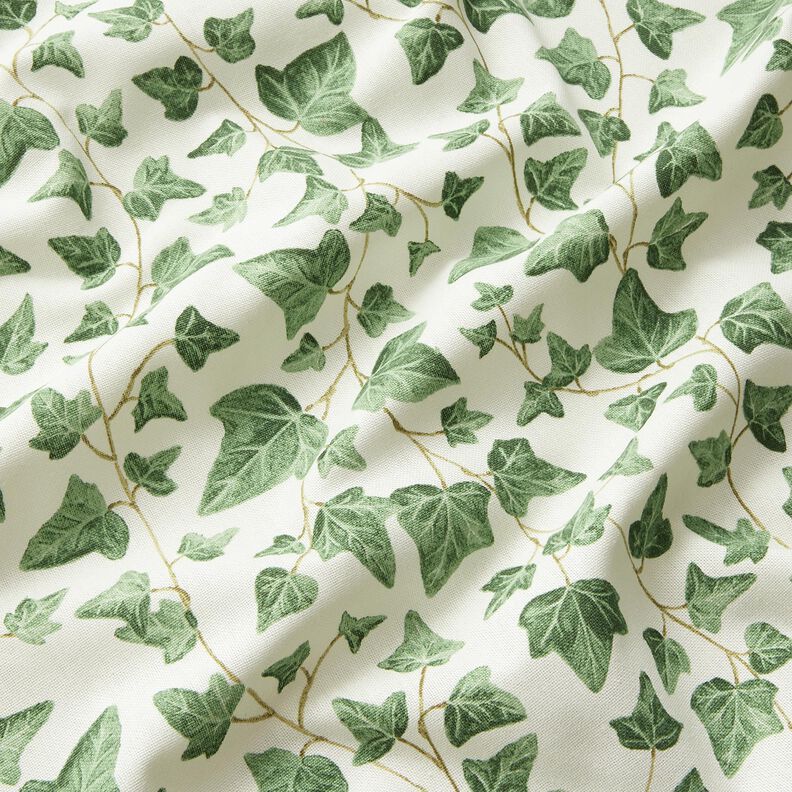 Dekorationstyg Halvpanama klättrande murgröna – vit/grön,  image number 2