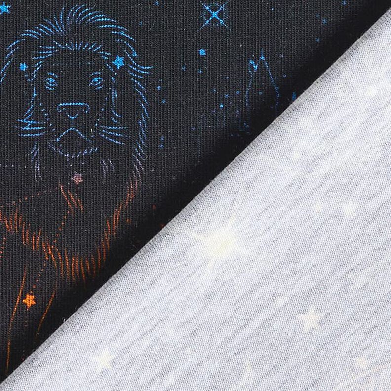 Bomullsjersey Licenstyg Heraldiska djur Stjärnbilder Harry Potter | Warner Bros. – svart,  image number 4