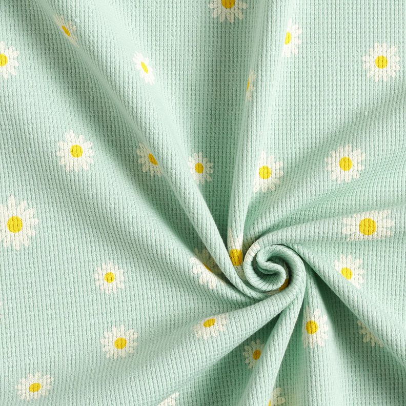 Våffeljersey prästkragar – ljus mint,  image number 3