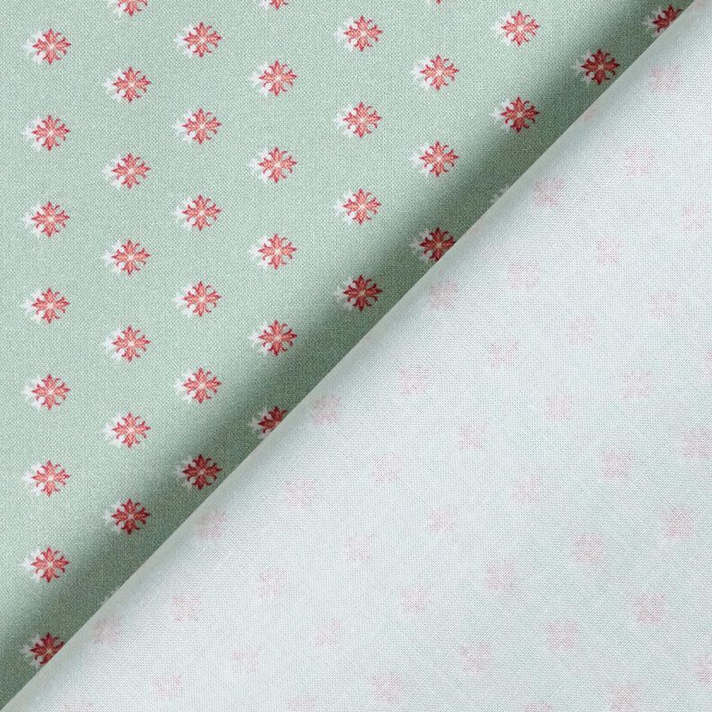 Bomullstyg Poplin Minispikar – ljus mint/mörk gammelrosa, image number 4