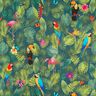 Dekorationstyg Halvpanama Tropiska fåglar – mörkgrön/röd,  thumbnail number 1