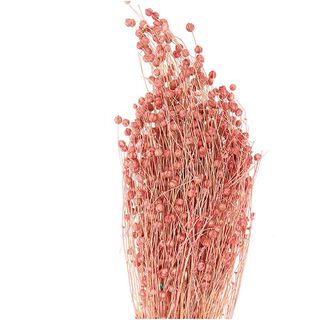 Torkat lin [ 100 g ] | Rico Design – pink, 