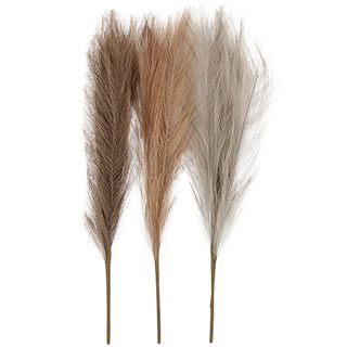 Pampasgräs, 50cm [3st.] – natur, 
