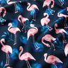 Bomullsjersey Flamingo | Glitzerpüppi – nattblå/ljusrosa,  thumbnail number 2