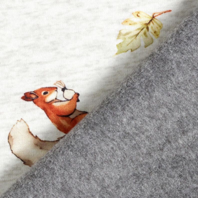 Alpfleece ekorre – natur/ljusgrå,  image number 4