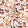 Bomullspoplin Hundar Digitaltryck | Poppy Fabrics – yllevit,  thumbnail number 4