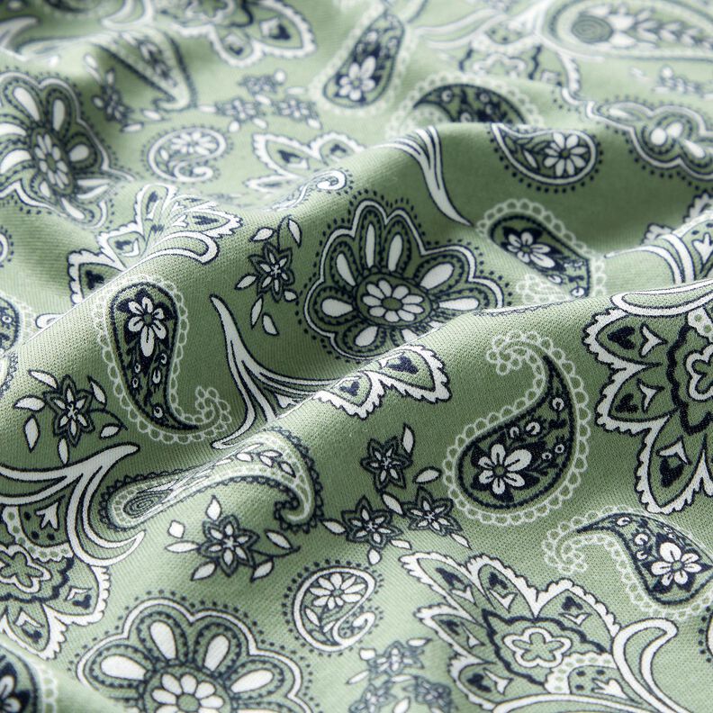 Bomullsjersey Paisley – vass/vit, image number 2