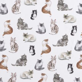 Bomullspoplin Glada katter Digitaltryck | Poppy Fabrics – vit, 