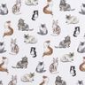 Bomullspoplin Glada katter Digitaltryck | Poppy Fabrics – vit,  thumbnail number 1