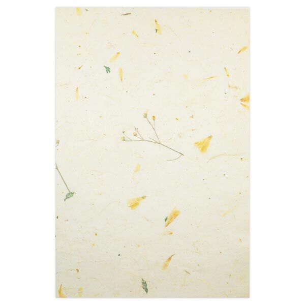 Naturpapper-set "Paper Nature Daisy", image number 4