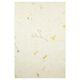 Naturpapper-set  "Paper Nature Daisy",  thumbnail number 4